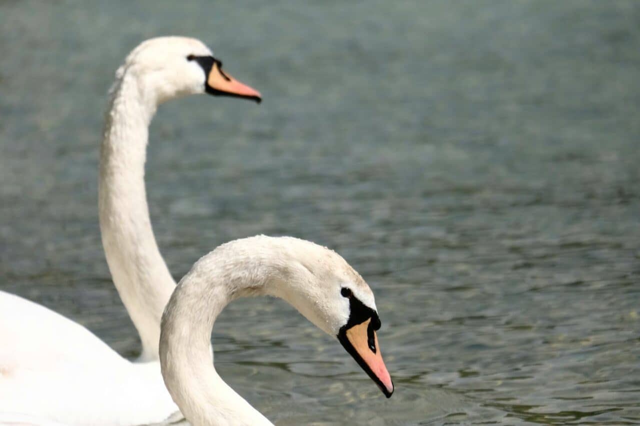 Attersee